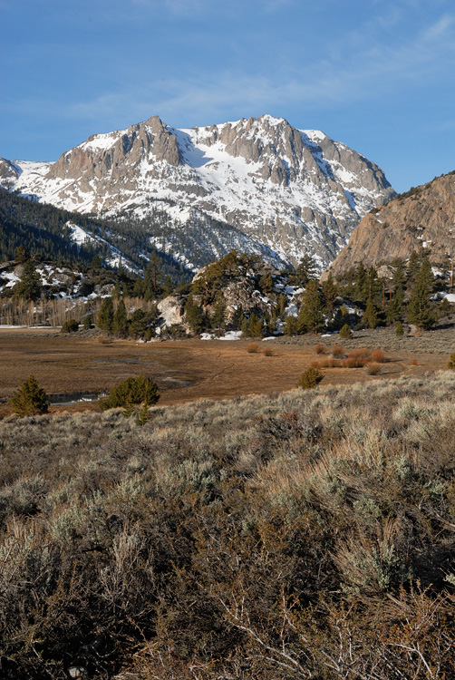 Sierra Landscape
