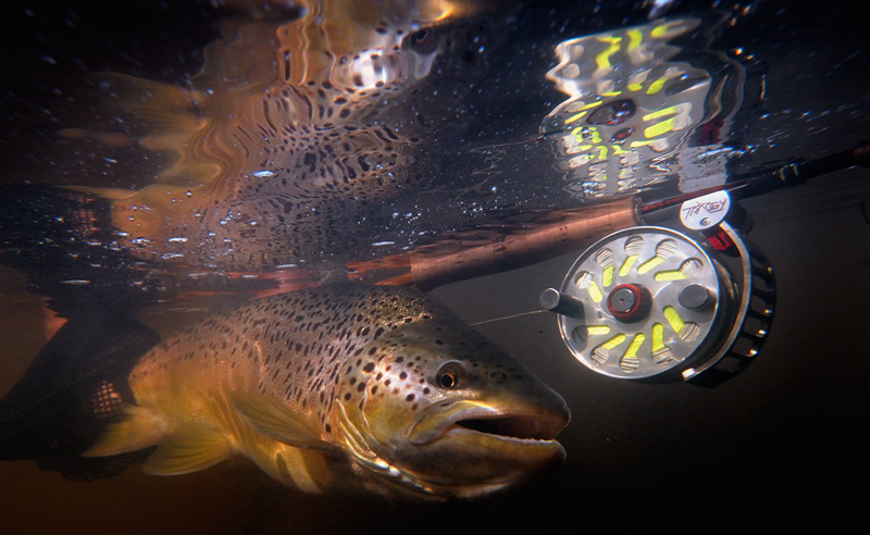 Ari Hart Trilogy fly reel, Carlin bamboo fly rod, and a beautiful brown trout