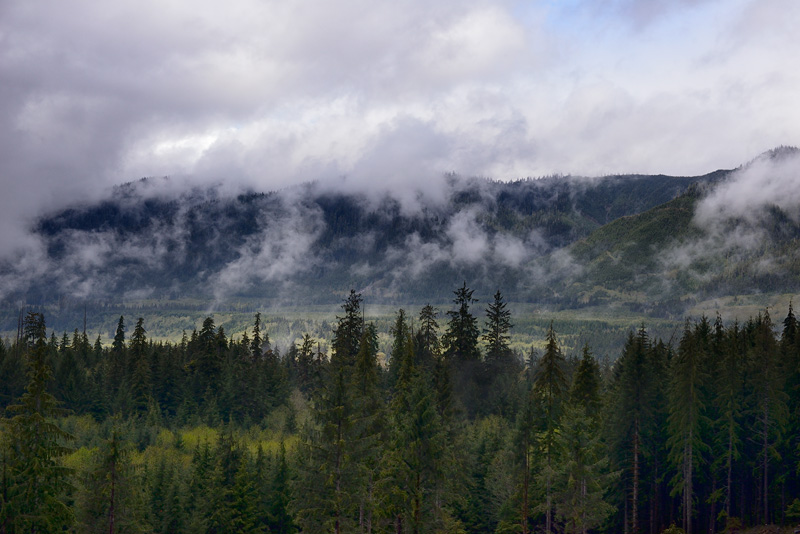 Hoh Rainforest mountains with clouds spilling into the valleys