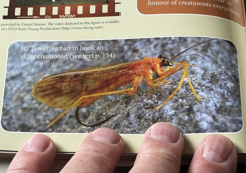 My Cadddis Fly also published in Richard Dawkins book