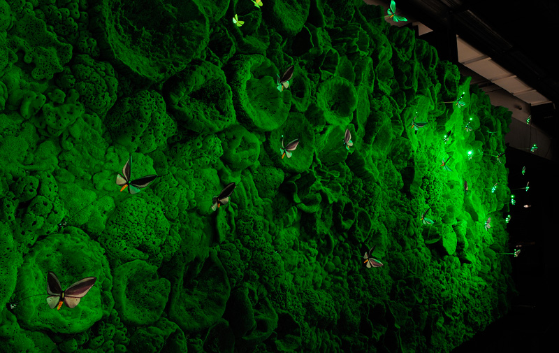 LED butterflies illuminate green sea sponges