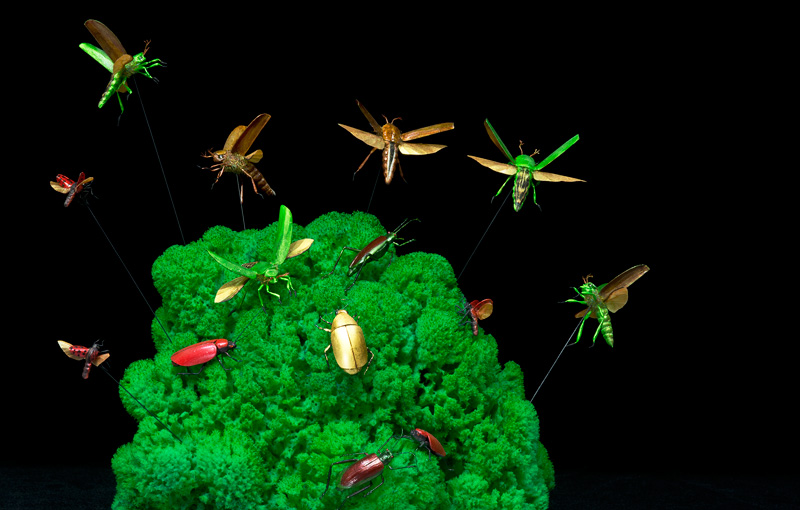 artificial beetles in flight