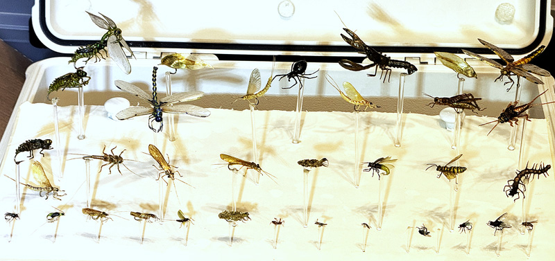 super realistic fly tying display of aquatic insects