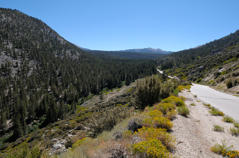 Beautiful Sierra Nevada mountains