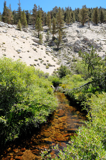 pretty trout stream