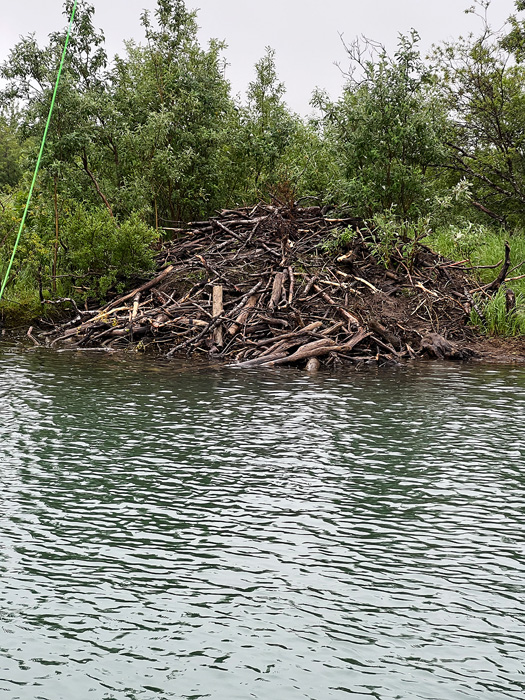 Beaver Lodge