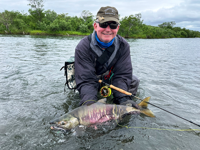 colored Chum Salmon