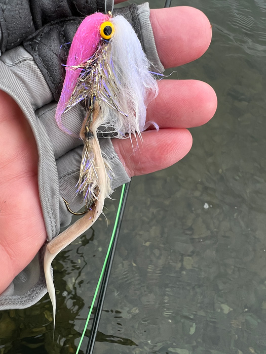 hot fly for Sockeye Salmon