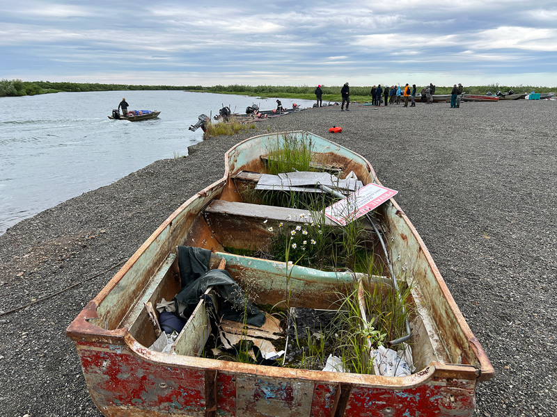 old boat with wildflowers growing inside