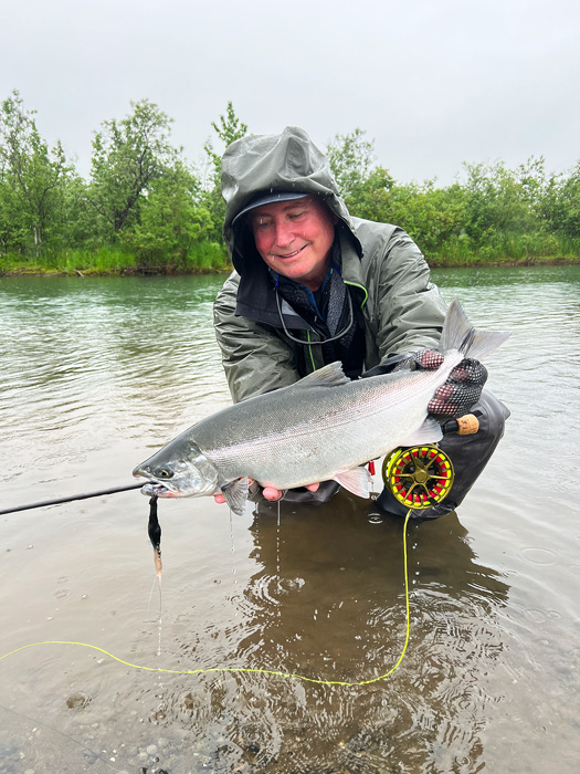 silver salmon in the rain