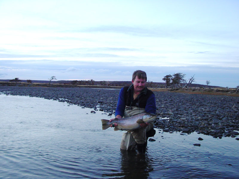 Fly fishing for huge sea run brown trout in southern Patagonia Chile