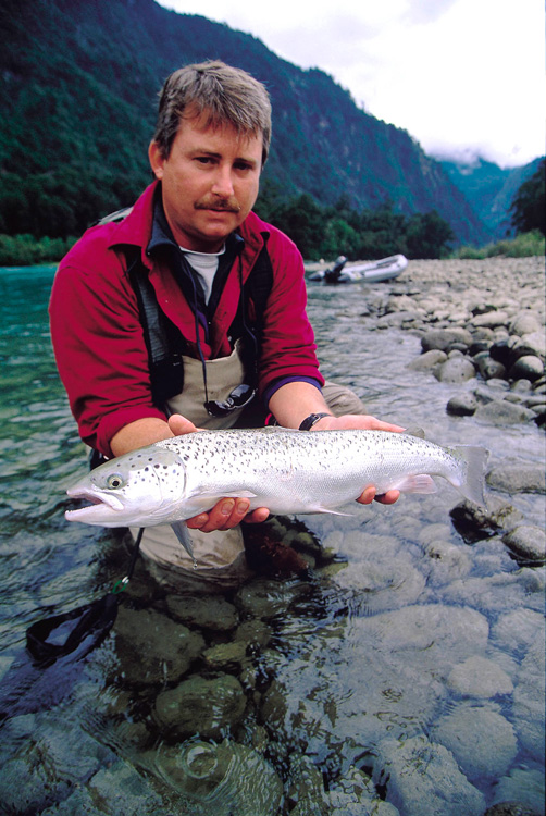 Atlantic Salmon