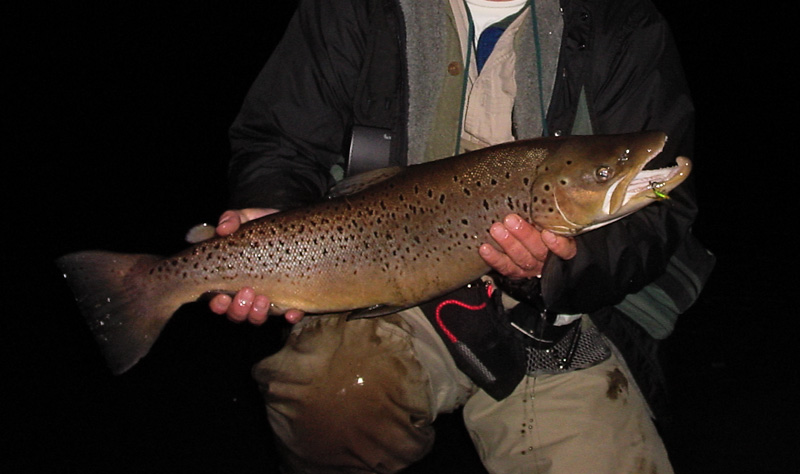 fishing at night was a great fun