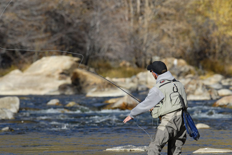 Dean casting Czech nymphs to willing trout