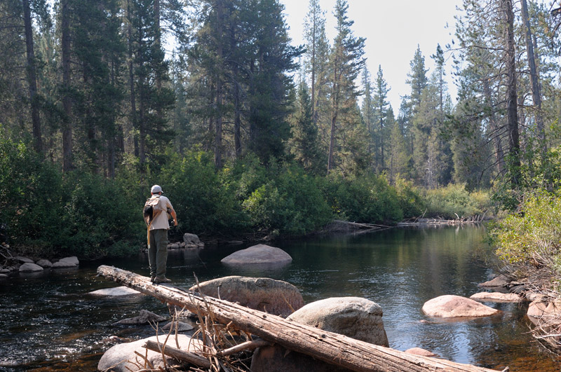 Alex Malo fishing a small Sierra stream