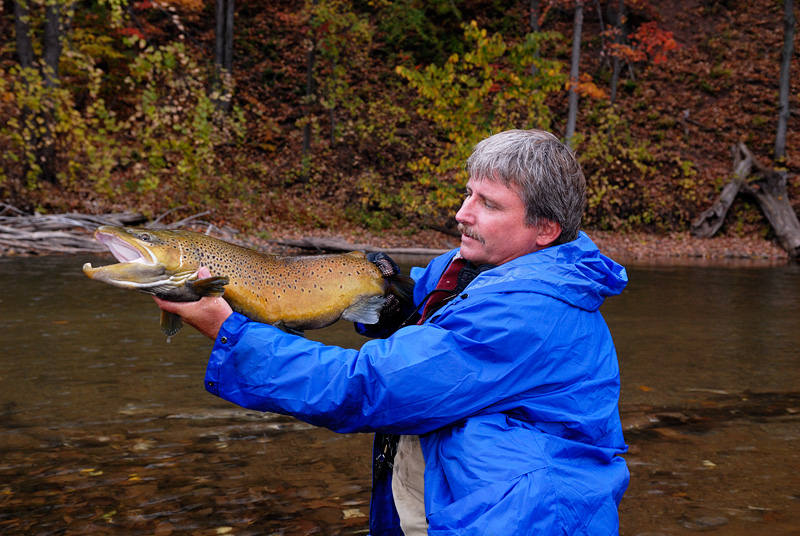 Often cold rainy days offer the best conditions for good brown trout fishing