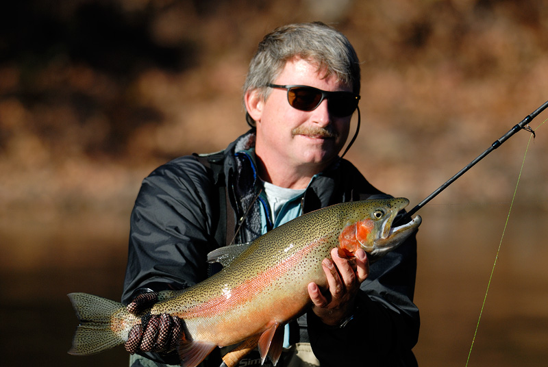 Steelhead rainbow trout are like icing on the cake when fishing for brown trout