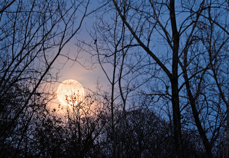 full moon over rising at dusk over a beautiful trout stream