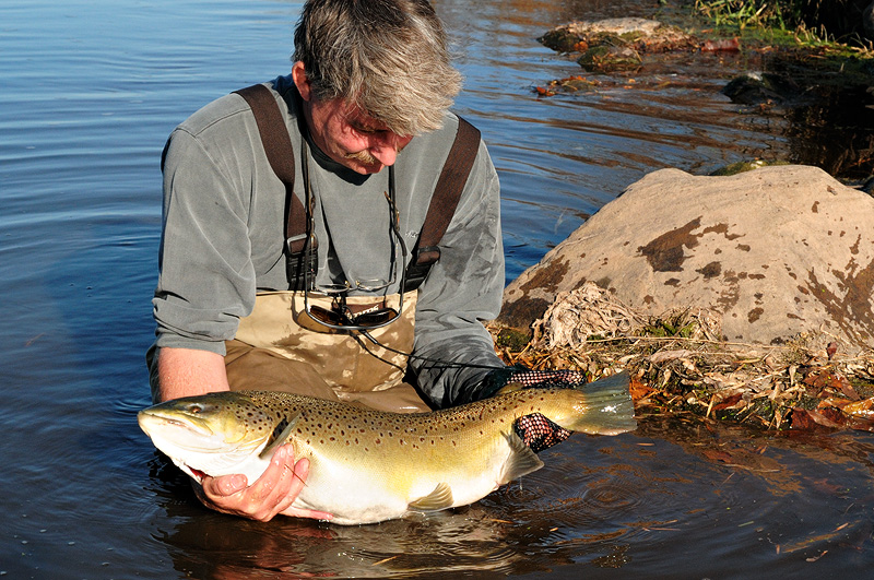 Graham with a huge heavy hen brown trout