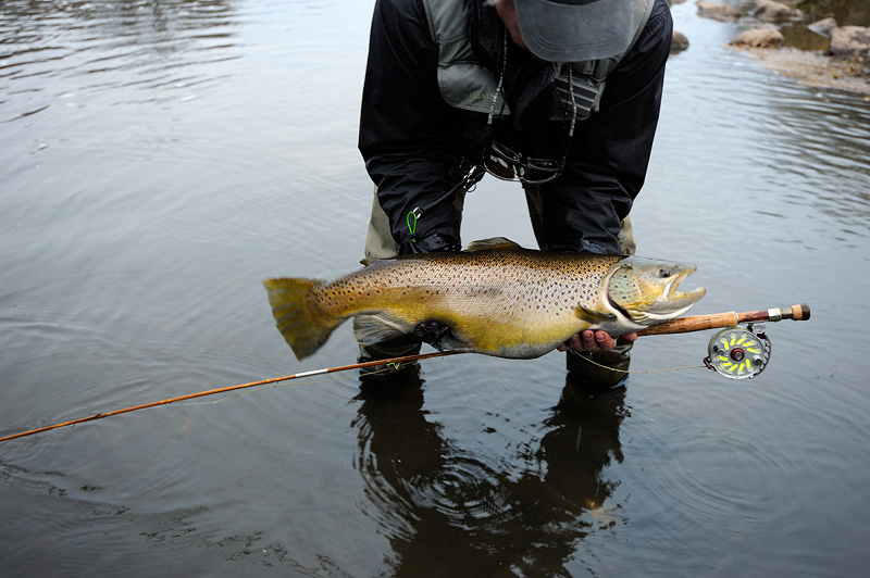 bamboo fly rod vand a nice trout