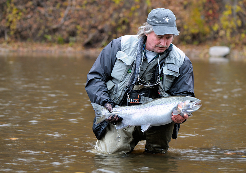 Chrome steelhead trout