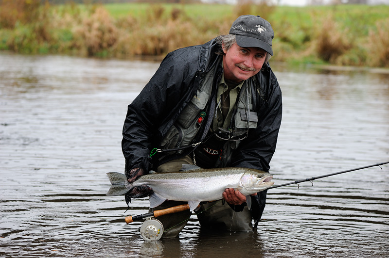 bright siler steelhead rainbow trout