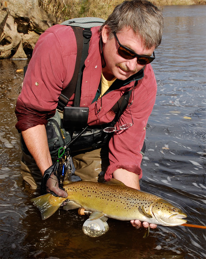 nice little brownie