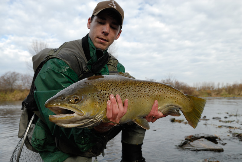 Will with a huge monster brown trout, what a beast!!!