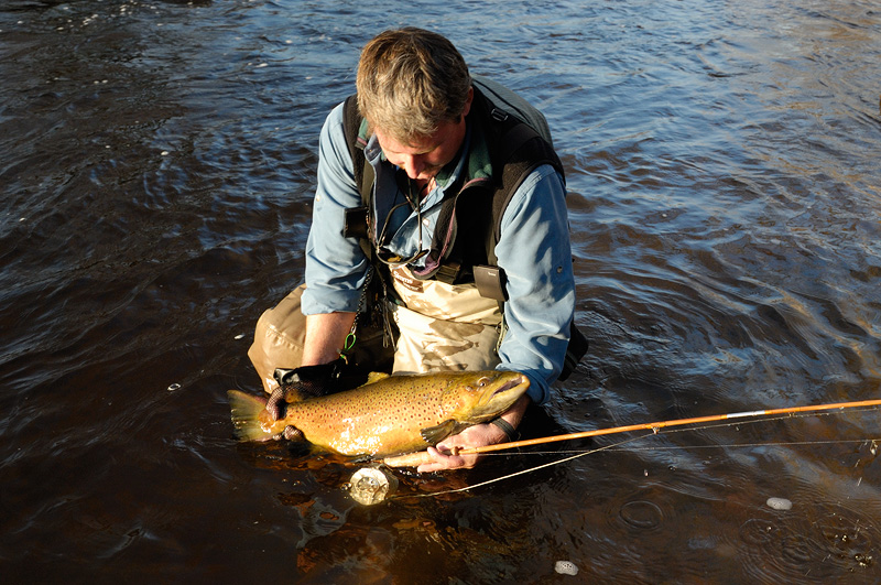 Graham with a sizable male brown trout, photographed in nice late afternoon light