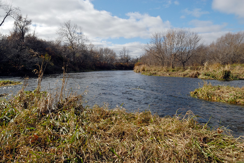 One of my favorite trout streams