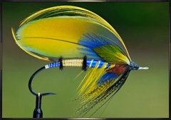 Free style salmon fly