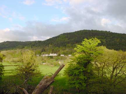 A nice view from my room