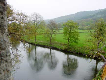 A rainy view from my window