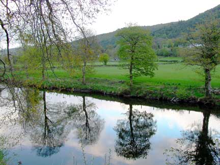 The trees and river behind the hotel