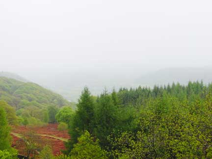Foggy valley views