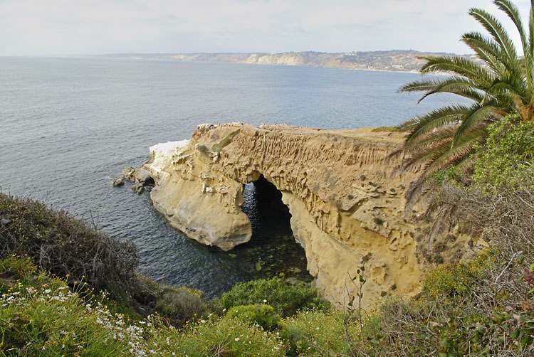 I had a nice seafood lunch in La Jolla, this is the view from the restaurant