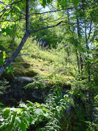 The area was MUCH greener than where I live in Southern California