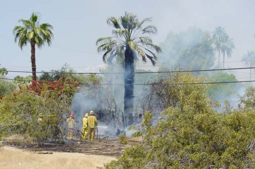 spraying water on a burning palm tree