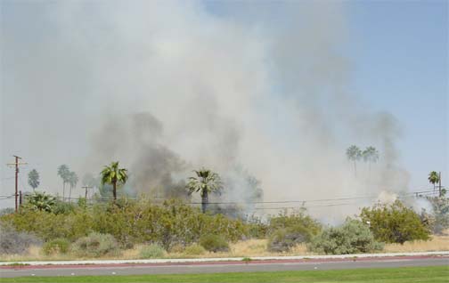 lots of smoke rising above this field