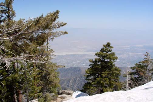 View of Palm Springs from the top of the mountain