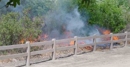 brush next to the street is on fire