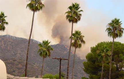 This was a scary sight