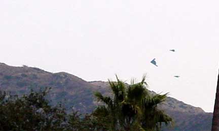 Stealth aircraft picture taken from my bedroom window