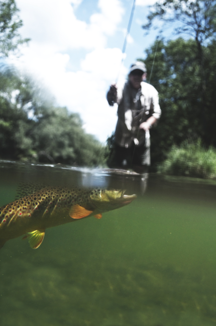 over under fly fishing photography by Lucas Carroll