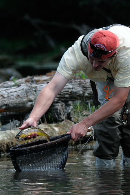 Luke Carroll releasing a nice brown trout on spring Creek