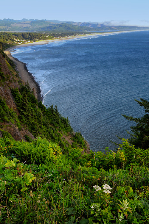 View of the California coastline just south of the Oregon border 