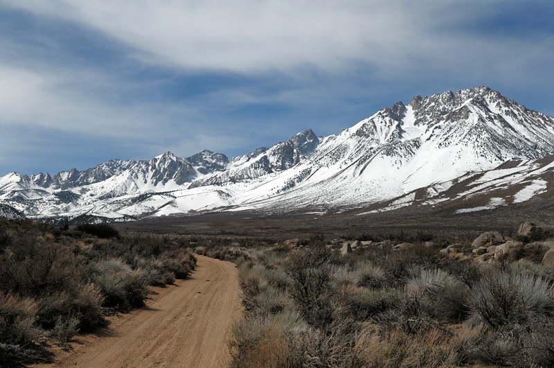 dirt road leading up into the sierra mountains