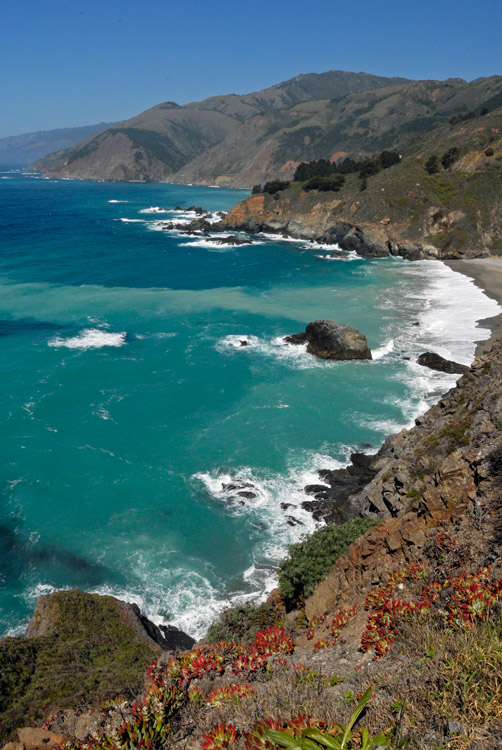 Rugged Big Sur California coastal view, with waves, rocks, and flowers