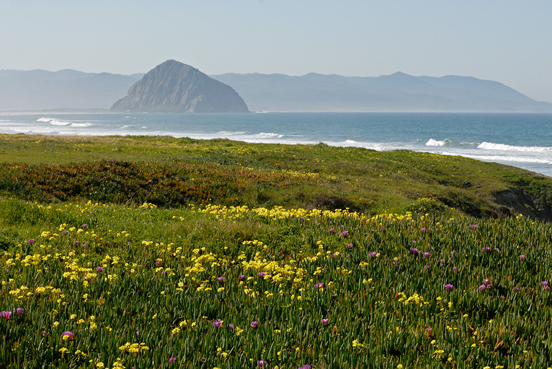 Morro Bay California, a beautiful place to visit, and I'm sure, to live in as well