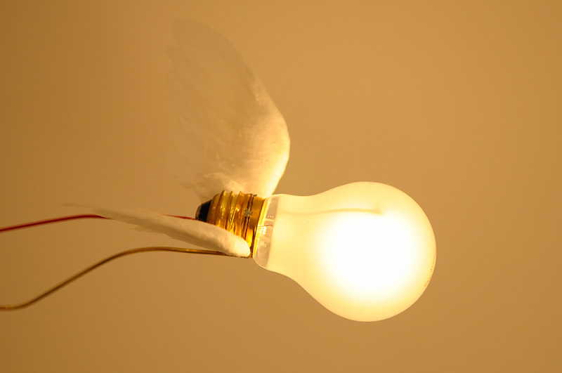 Flying birdie lamp